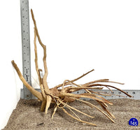 Thumbnail for WYSIWYG #145BU - Weathered Spider Wood (Medium)