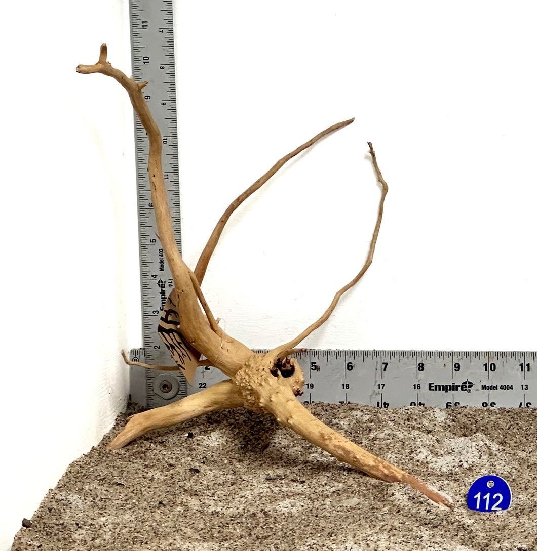 WYSIWYG #112BU - Weathered Spider Wood (Small)