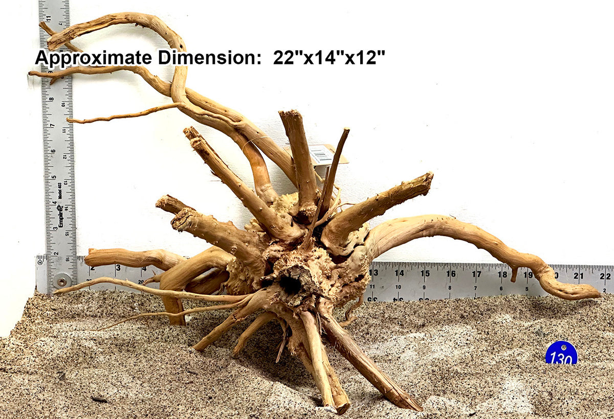 WYSIWYG #130BU - Weathered Spider Wood (XL)