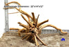 WYSIWYG #130BU - Weathered Spider Wood (XL)