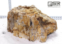 Thumbnail for WYSIWYG #44S - Hand Selected Petrified Wood Stone XXL - 106lbs