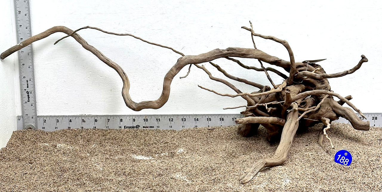 WYSIWYG #188BU - Black Spider Wood (Large)