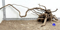 Thumbnail for WYSIWYG #188BU - Black Spider Wood (Large)