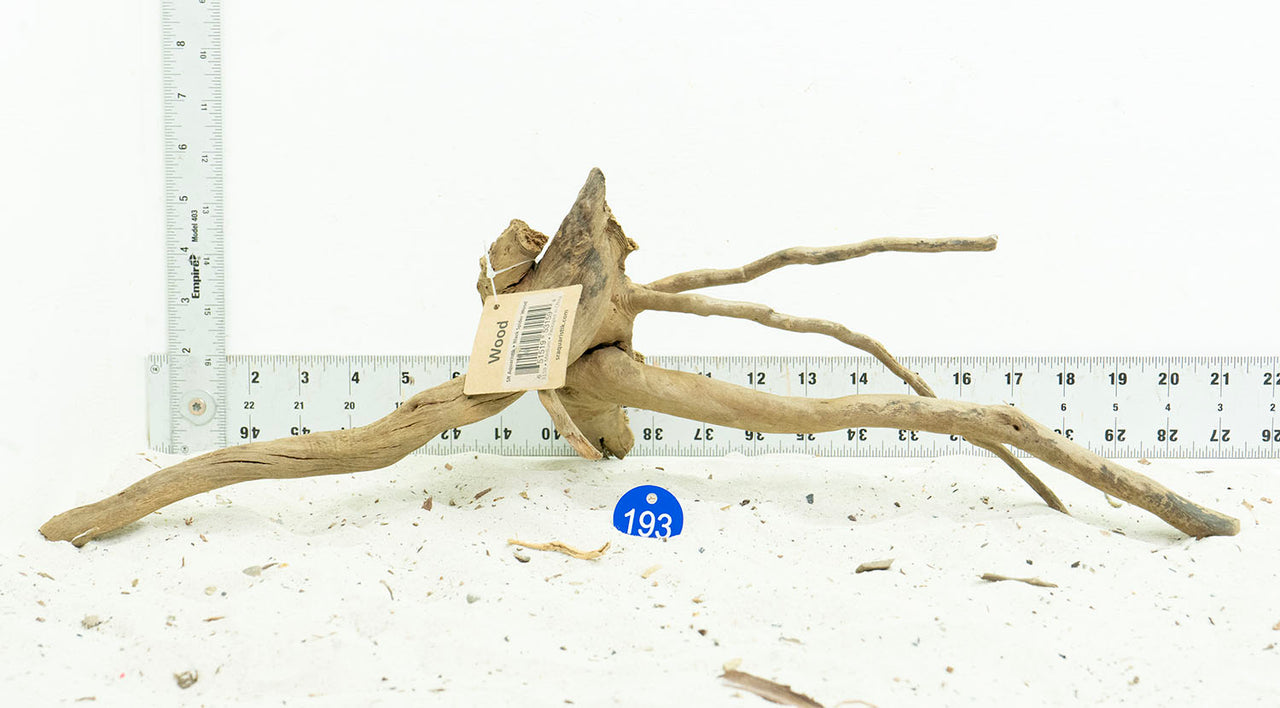 WYSIWYG #193BU - Black Spider Wood (Medium)