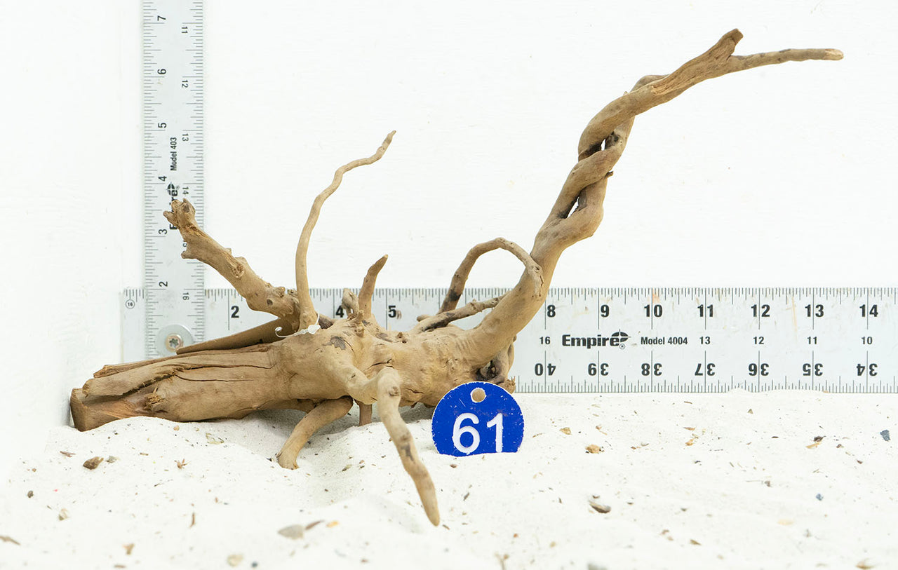 WYSIWYG #61BU - Black Spider Wood (Medium)