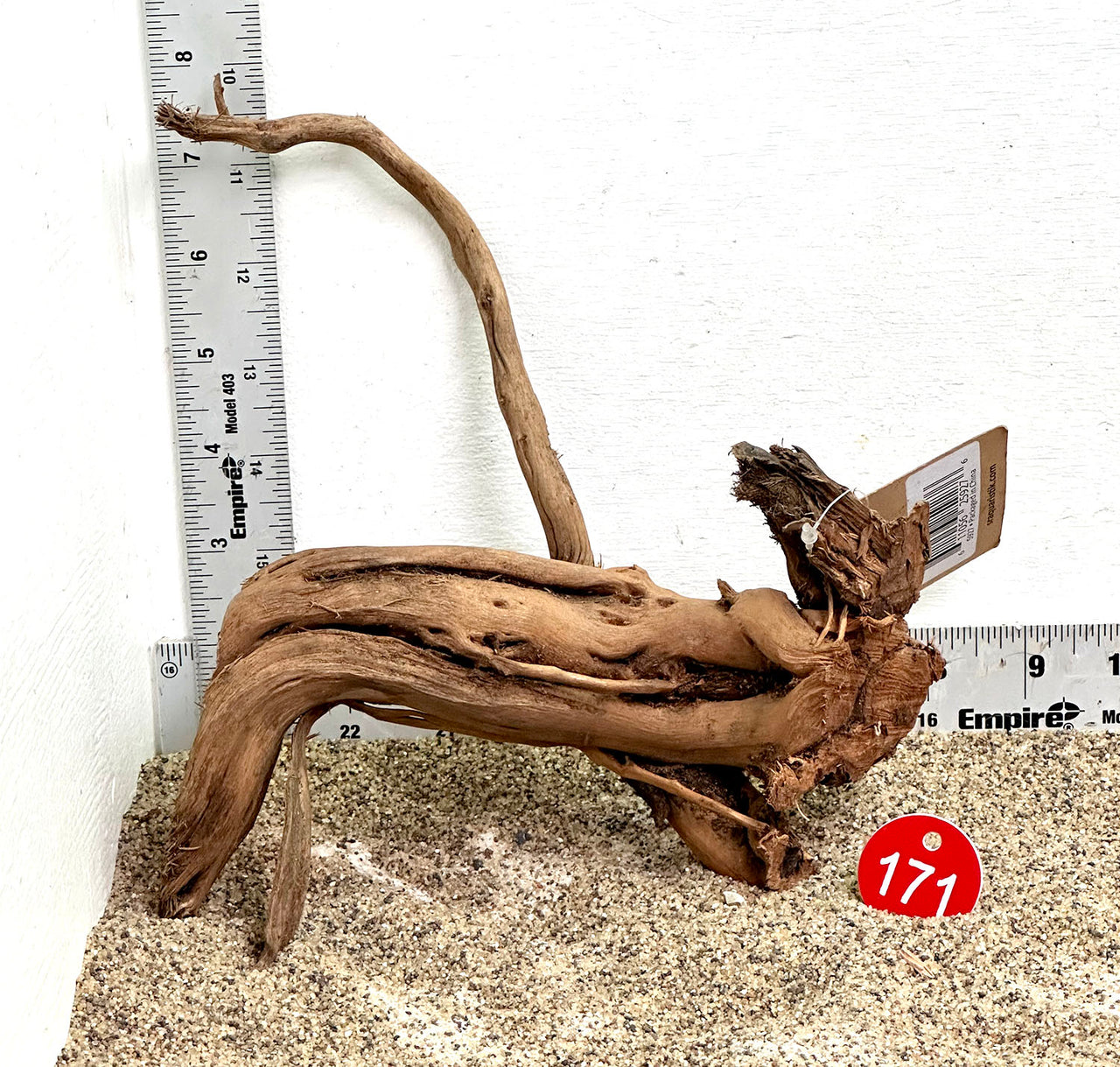 WYSIWYG #171RD - Dragon Wood (Small)