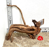 Thumbnail for WYSIWYG #171RD - Dragon Wood (Small)