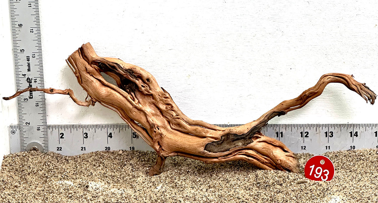 WYSIWYG #193RD - Dragon Wood (Small)
