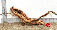 Thumbnail for WYSIWYG #193RD - Dragon Wood (Small)