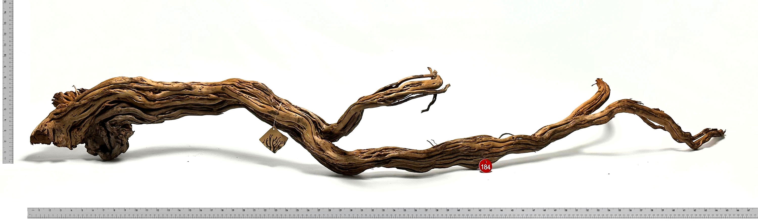 WYSIWYG #184RD - Dragon Wood (XXL)