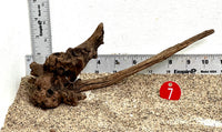 Thumbnail for WYSIWYG #7RD - Weathered Driftwood (Small)