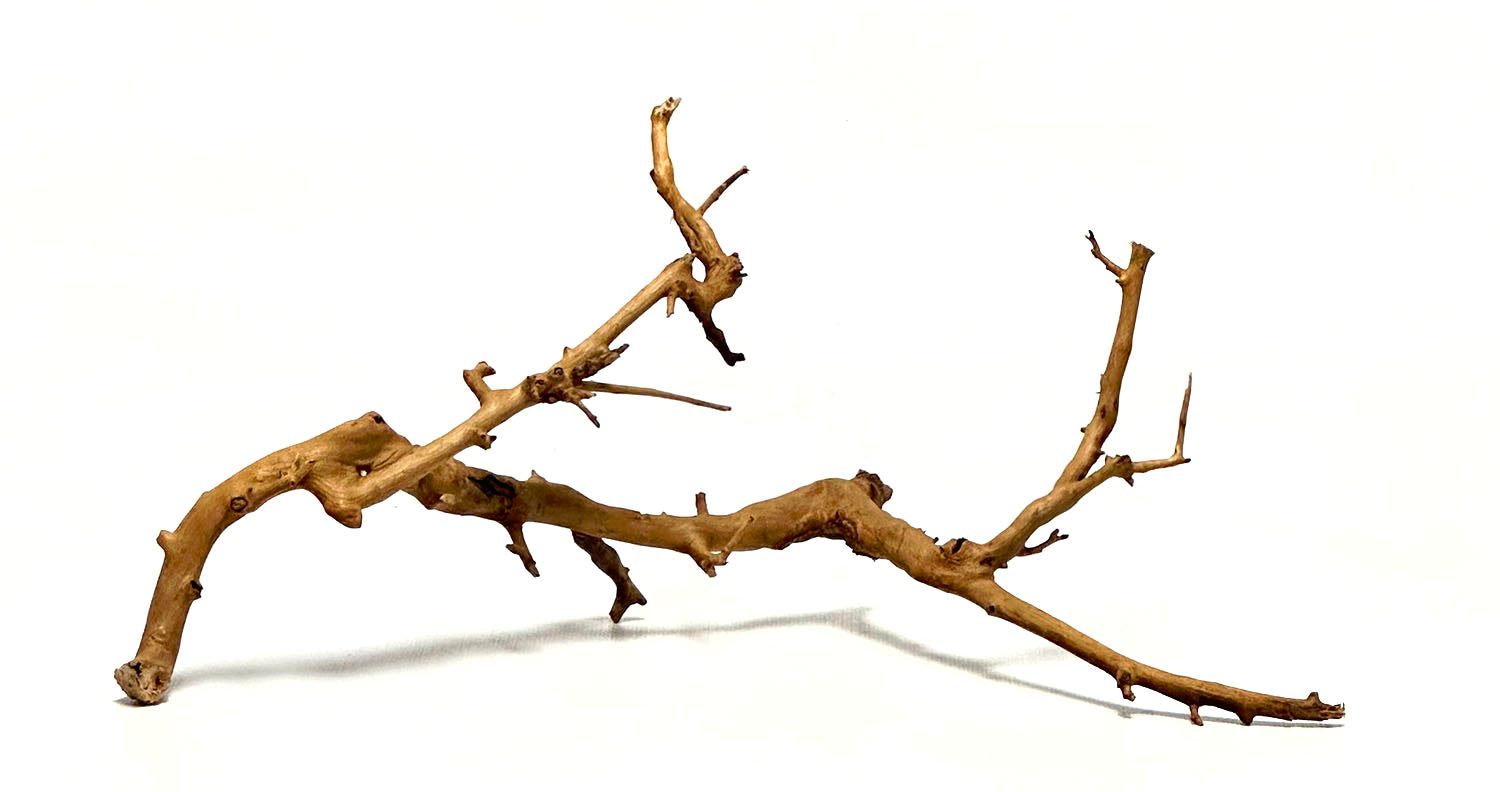 Fan Wood