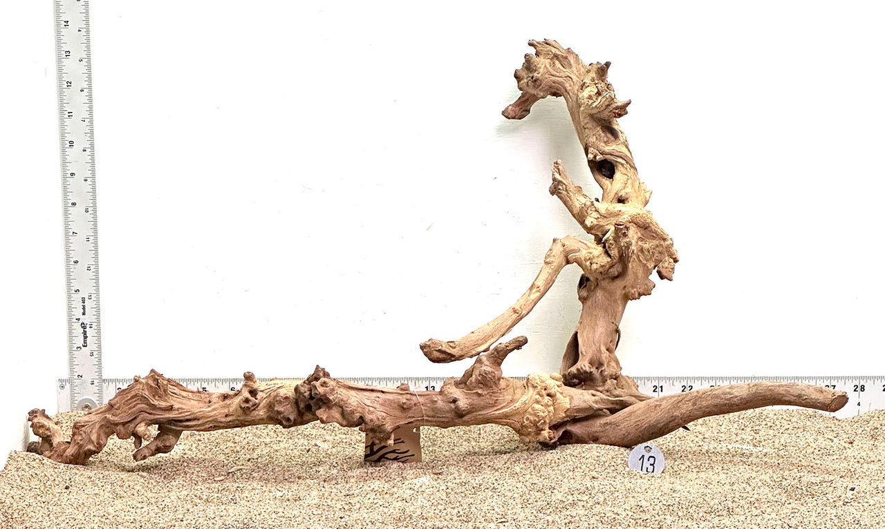 WYSIWYG #13S - Gnarly Wood (Large)