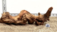 Thumbnail for WYSIWYG #36S - Gnarly Wood (Medium)