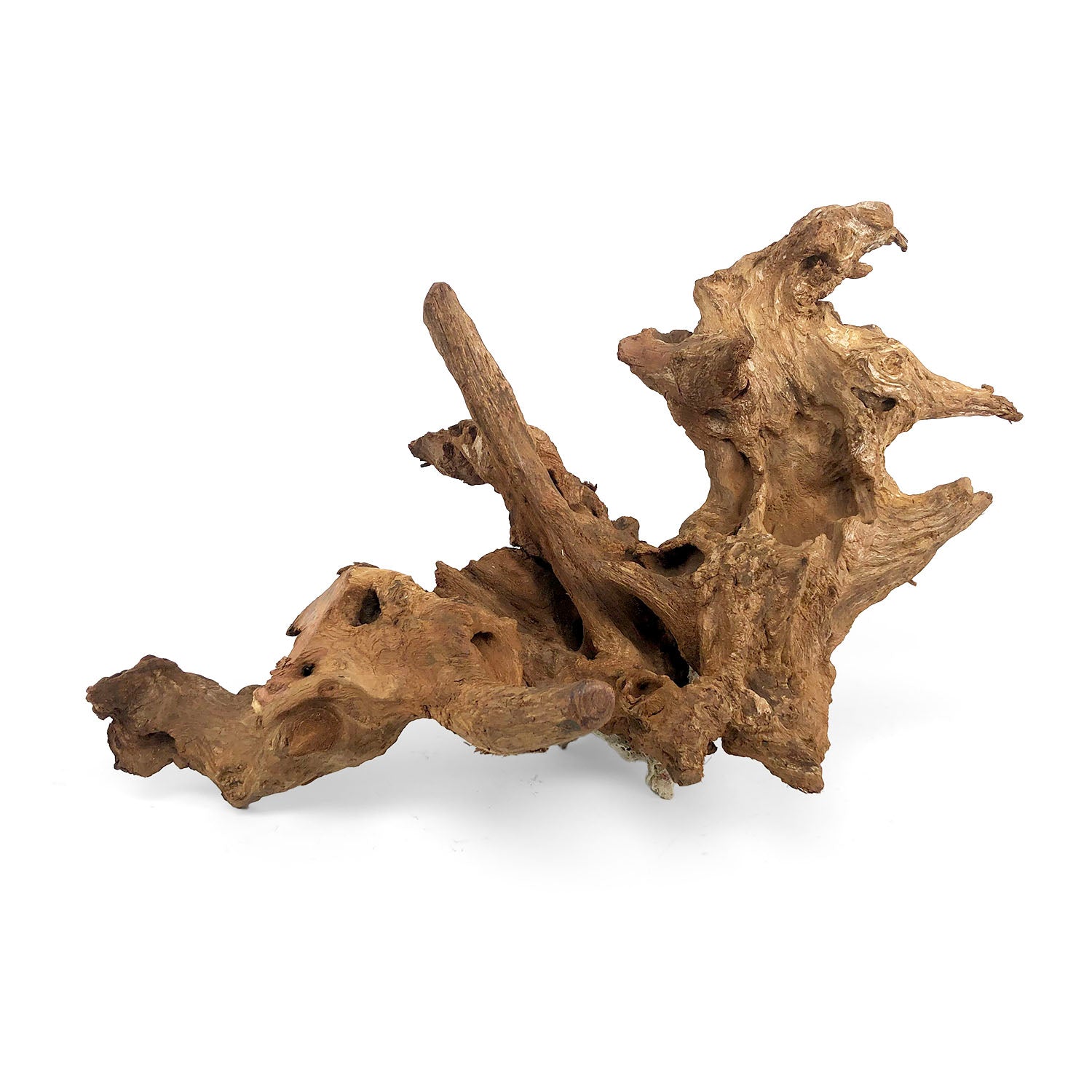 SR Aquaristik Gnarly Wood