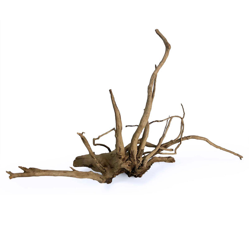 SR Aquaristik Black Spider Wood