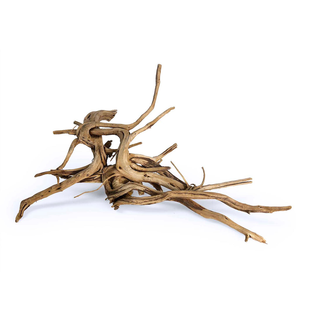 Pine Spider Wood / Tiger Wood