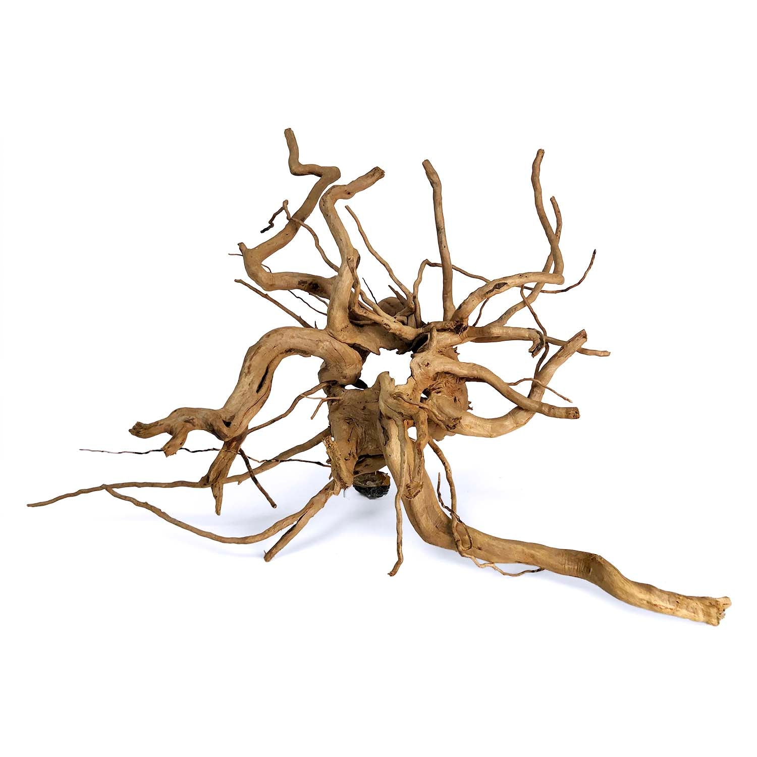 SR Aquaristik Spider Wood
