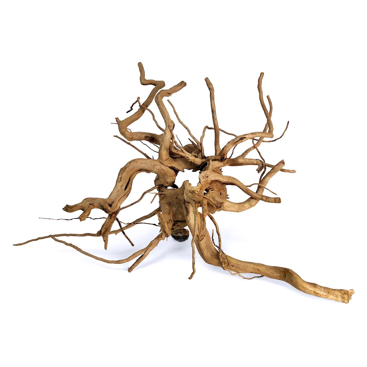 SR Aquaristik Spider Wood  Aquarium Driftwood –