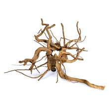 Load image into Gallery viewer, SR Aquaristik Spider Wood
