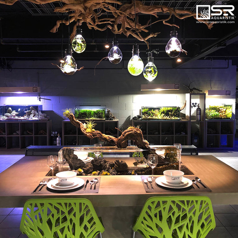 SR Aquaristik Dining Room Table