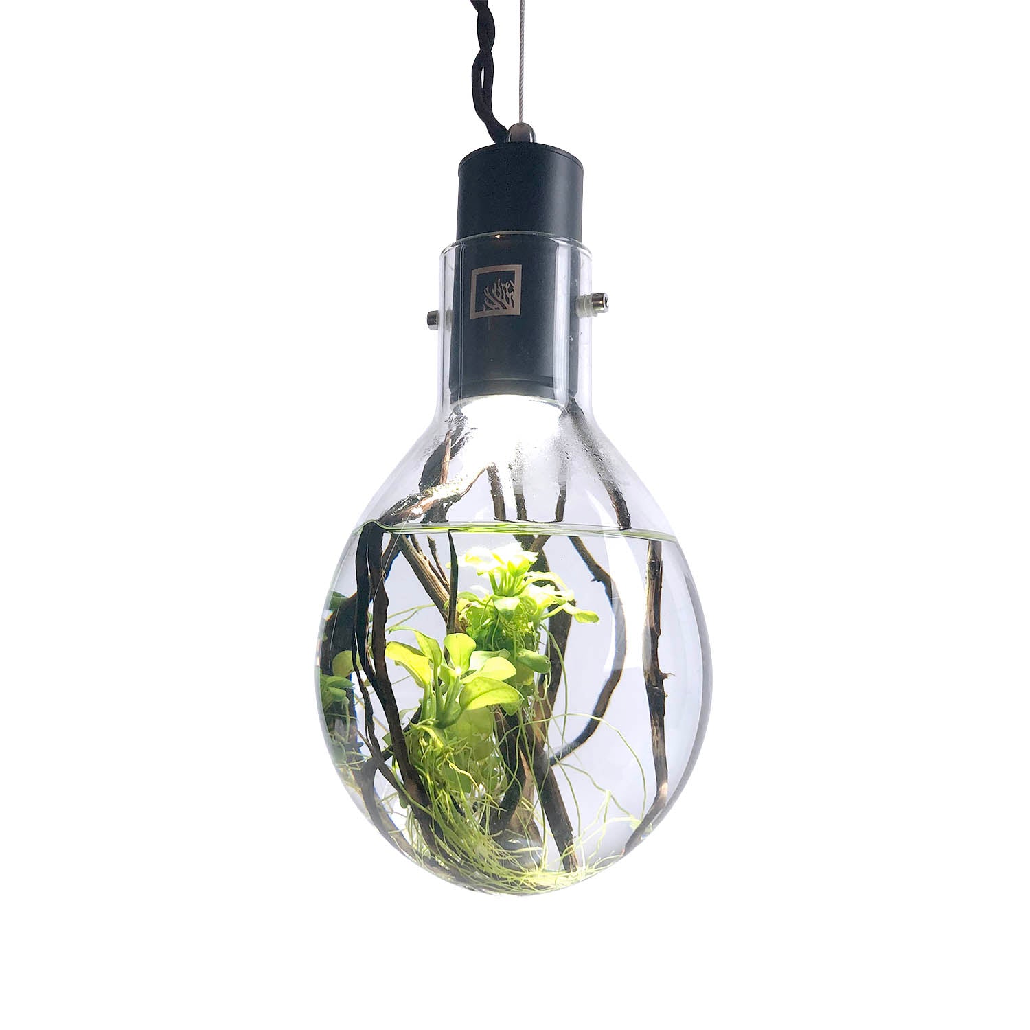 Hanging Luminarium Aquarium