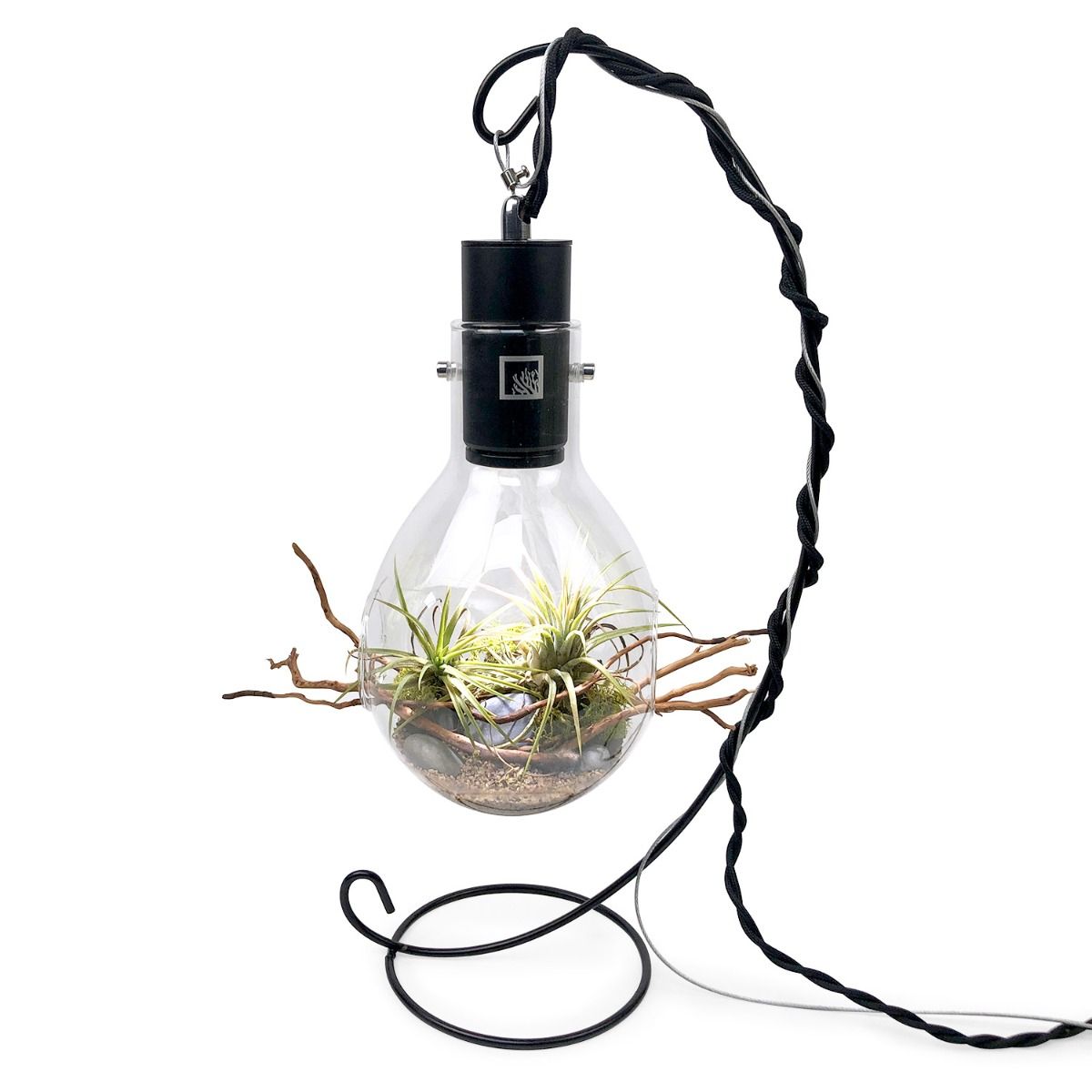 Luminarium Terrarium (With Décor Kit and Stand)