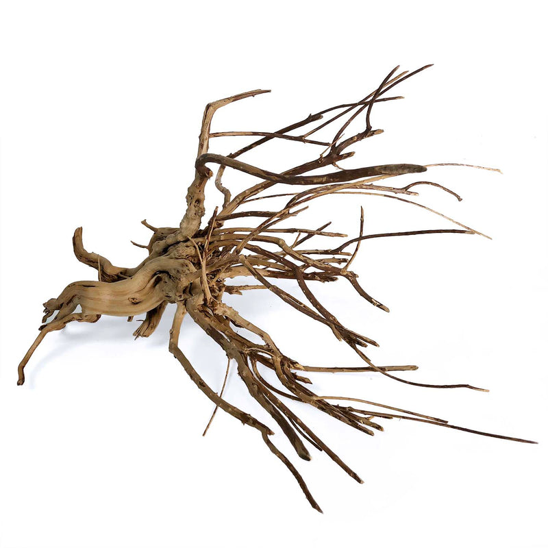 Pine Spider Wood / Tiger Wood