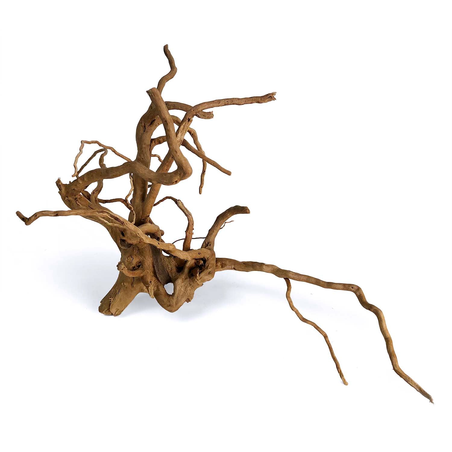 SR Aquaristik Spider Wood