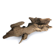 Load image into Gallery viewer, Weathered Aquarium Driftwood
