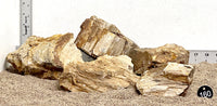 Thumbnail for WYSIWYG #160BK - Petrified Wood Stone Aquascape Kit