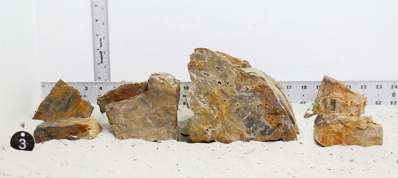 WYSIWYG #3BK - Petrified Wood Stone Aquascape Kit