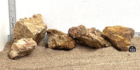 Thumbnail for WYSIWYG #153BK - Petrified Wood Stone Aquascape Kit