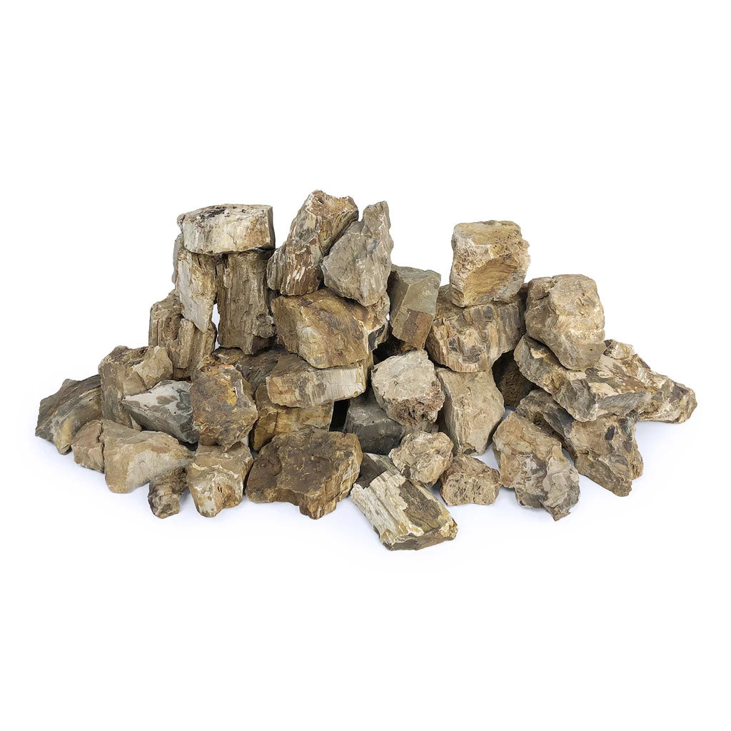 Petrified Wood Stone