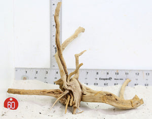 WYSIWYG #60RD - Pine Spider Wood / Tiger Wood (Medium)