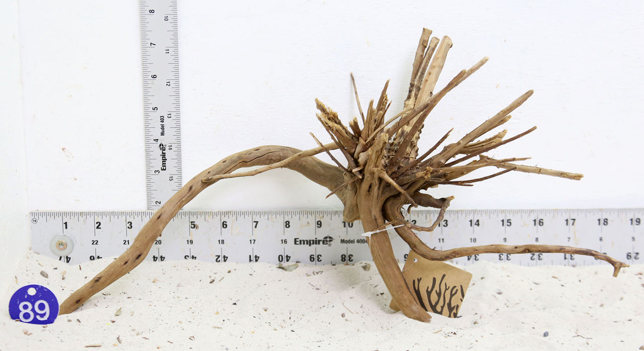 WYSIWYG #89BU - Pine Spider Wood / Tiger Wood (Medium)