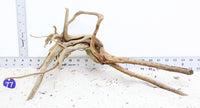 Thumbnail for WYSIWYG #77BU - Pine Spider Wood / Tiger Wood (Large)