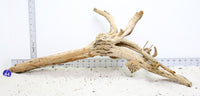 Thumbnail for WYSIWYG #44BU - Pine Spider Wood / Tiger Wood (XL)