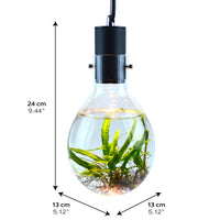 Thumbnail for Luminarium Aquarium (With Décor Kit)