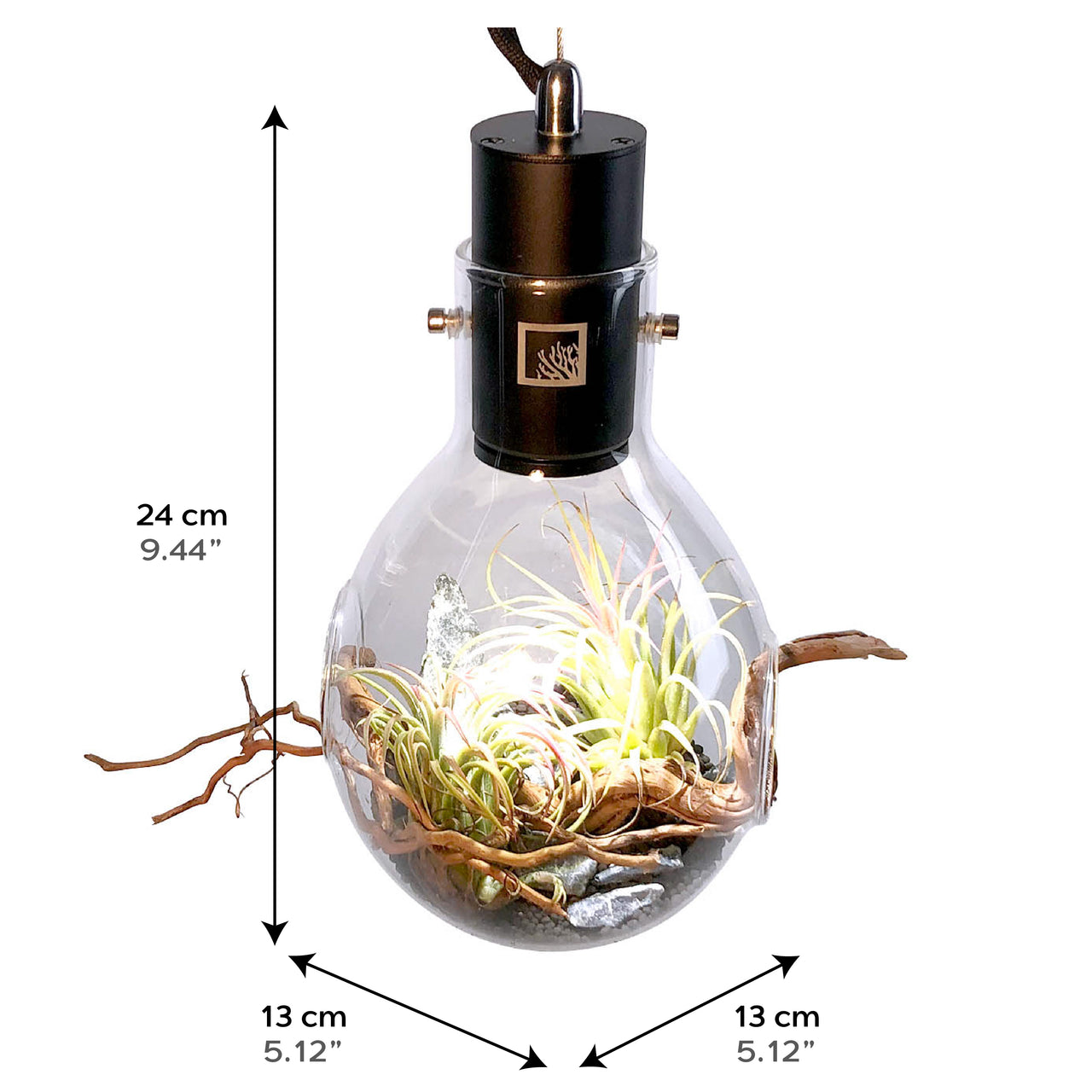 Luminarium Terrarium (With Décor Kit and Stand)
