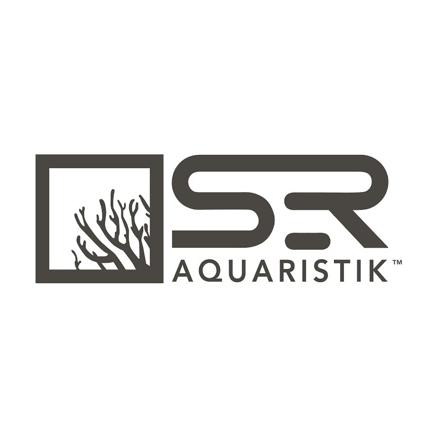 Limnophila aromatica Tissue Culture Cup