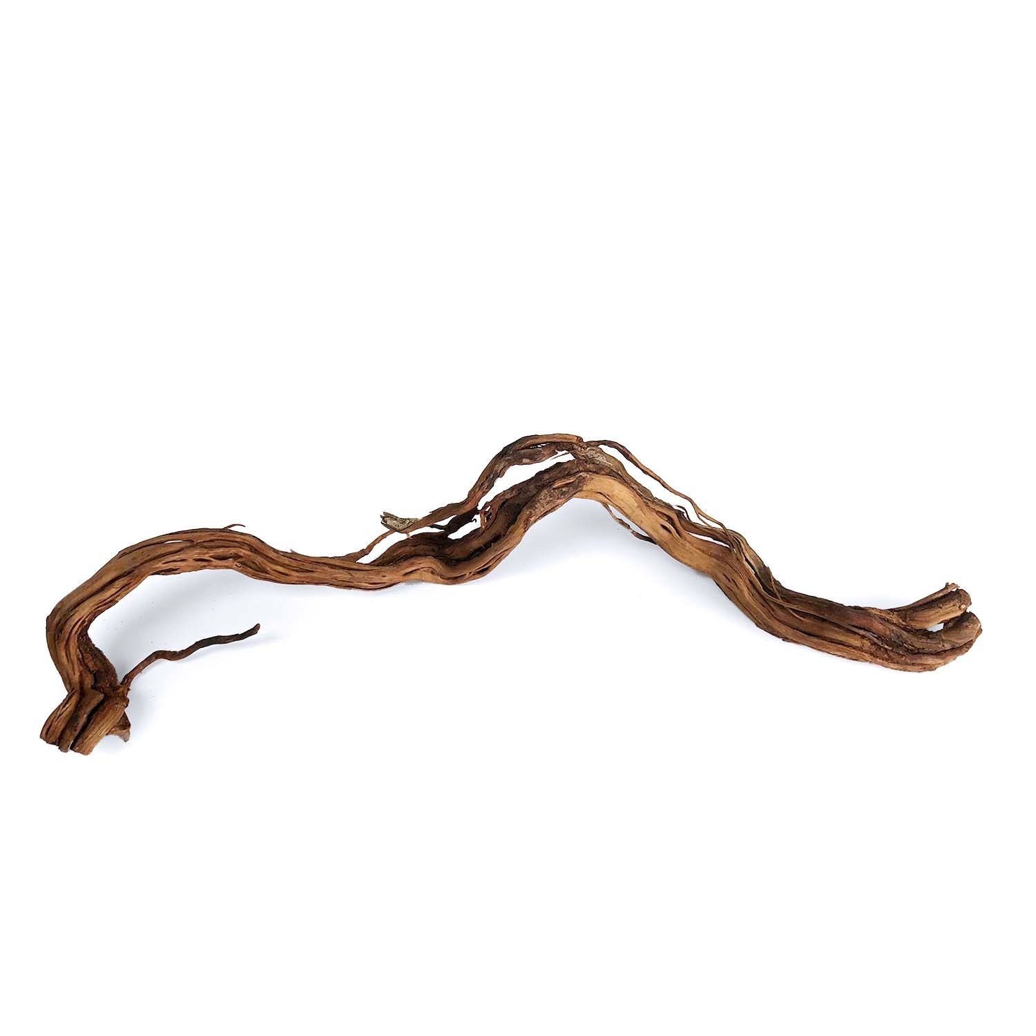 SR Aquaristik Dragon Wood