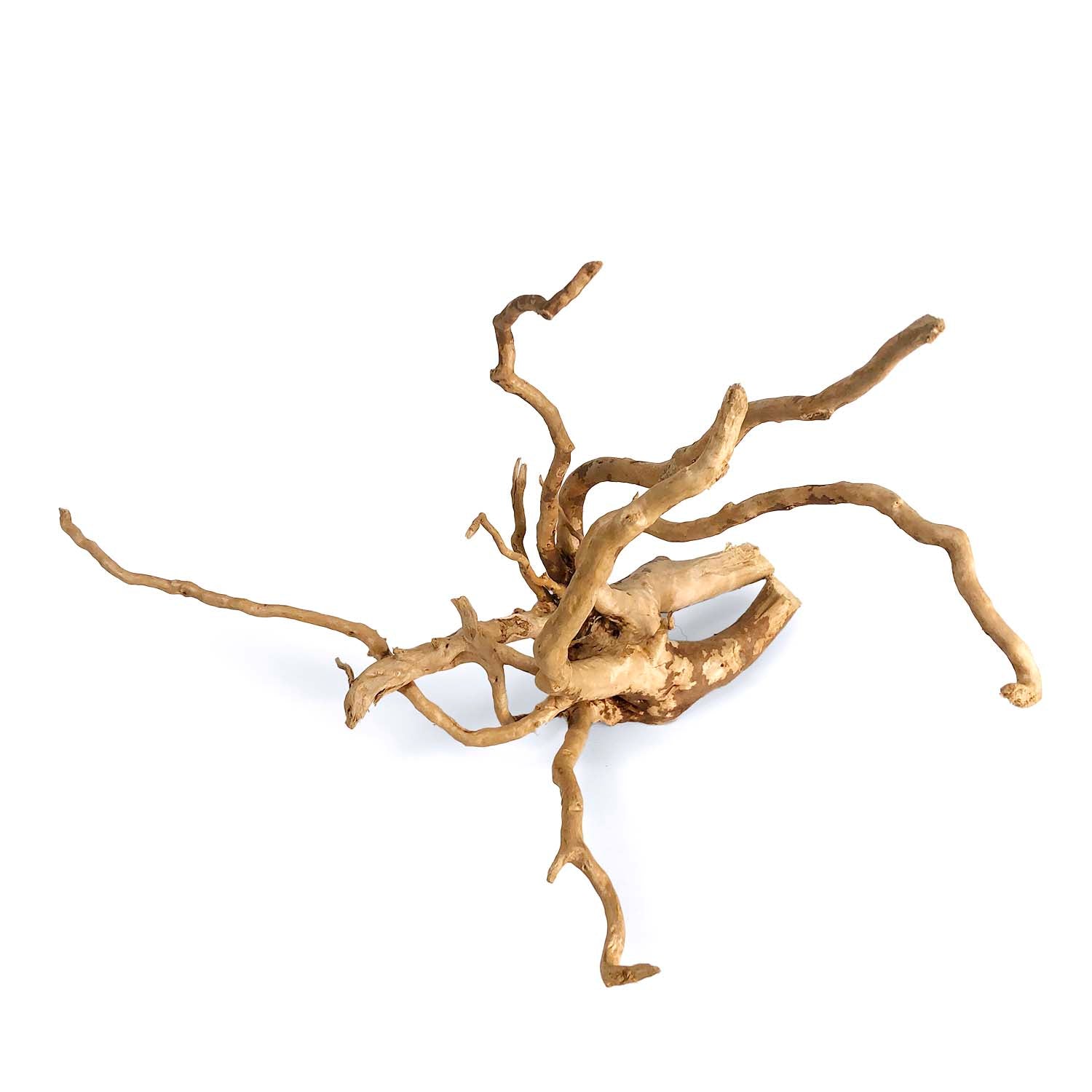SR Aquaristik Spider Wood