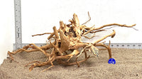 Thumbnail for WYSIWYG #124BU - Spider Wood (Large)