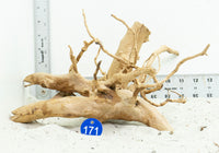 Thumbnail for WYSIWYG #171BU - Spider Wood (Medium)