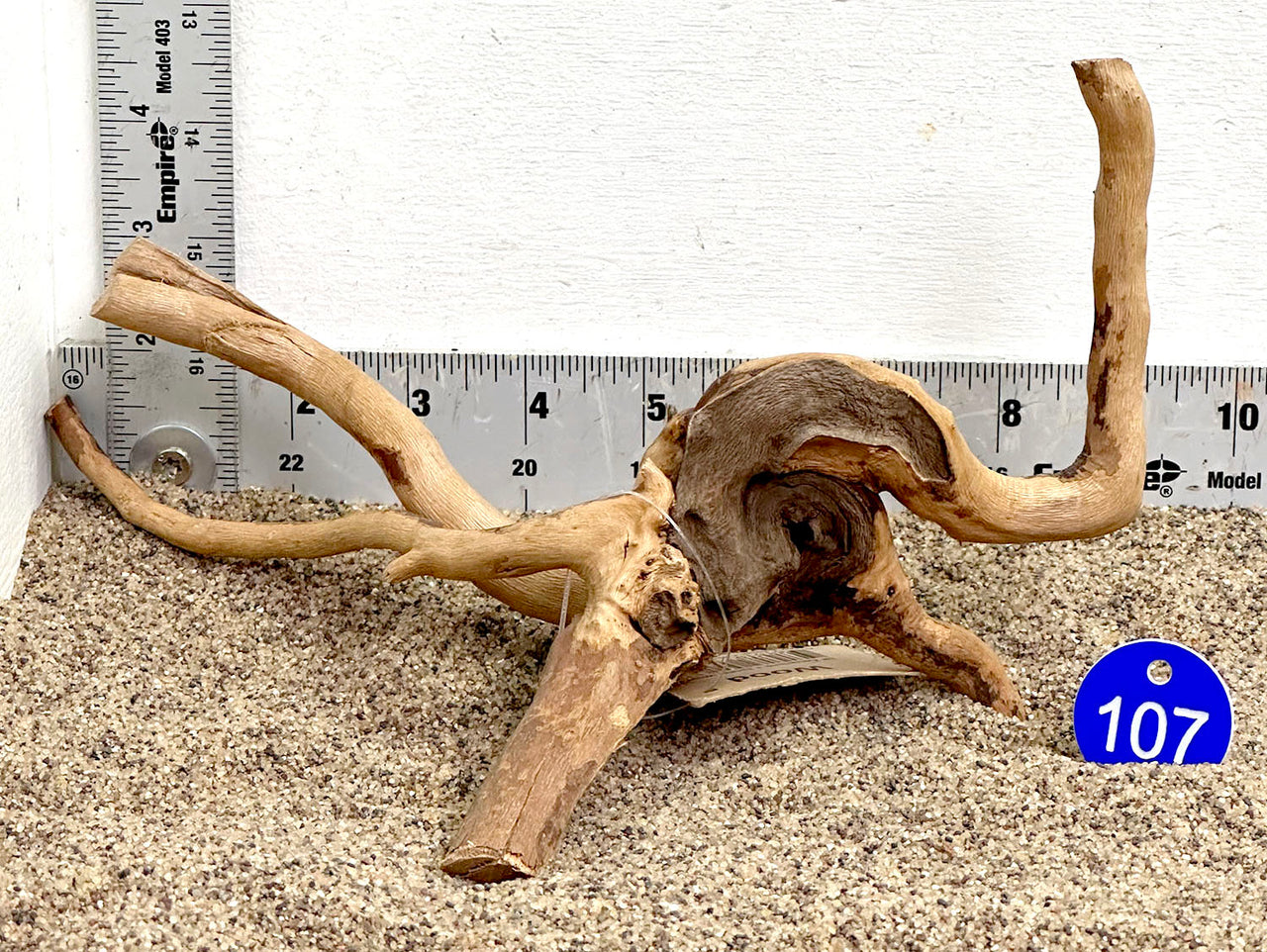 WYSIWYG #107BU - Spider Wood (Small)