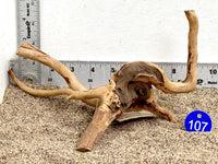 Thumbnail for WYSIWYG #107BU - Spider Wood (Small)