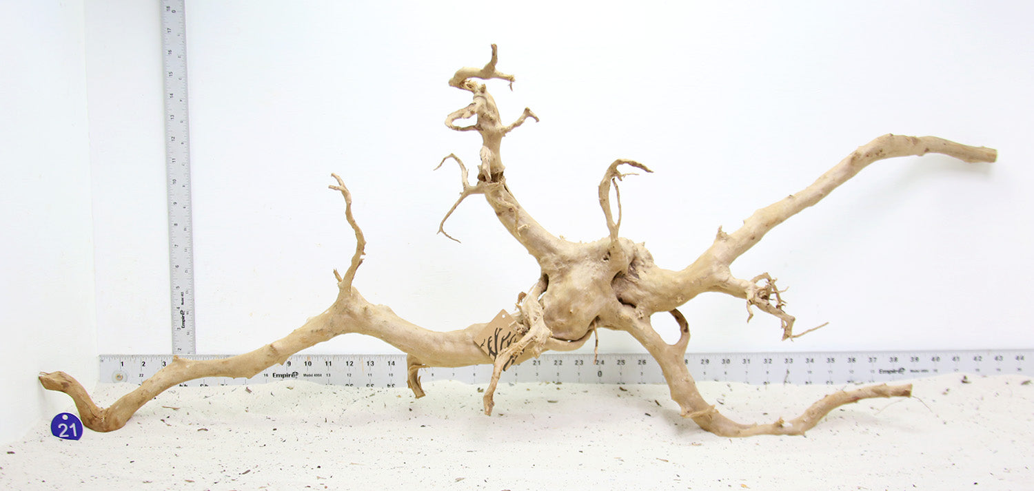 WYSIWYG #21BU - Spider Wood (XXL)
