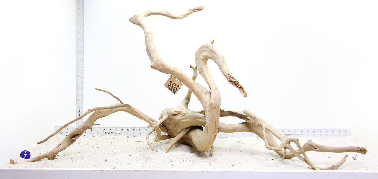 WYSIWYG #7BU - Spider Wood (XXL)