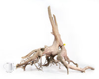 Thumbnail for WYSIWYG #50Y - Spider Wood (XXXL)